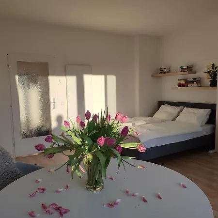 Appartement Mit Terrasse In Zentraler Lage Graz